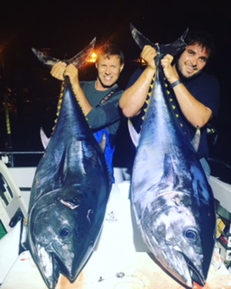 tuna-x-2-