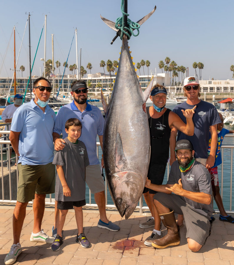 Fin Fetish Photo Gallery